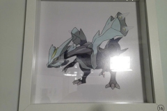 poke_galerie-150