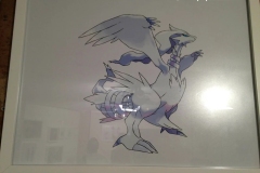 poke_galerie-153