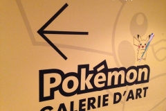 poke_galerie-7