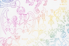 USUM COVER