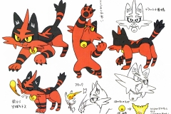 Torracat