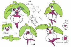 steenee